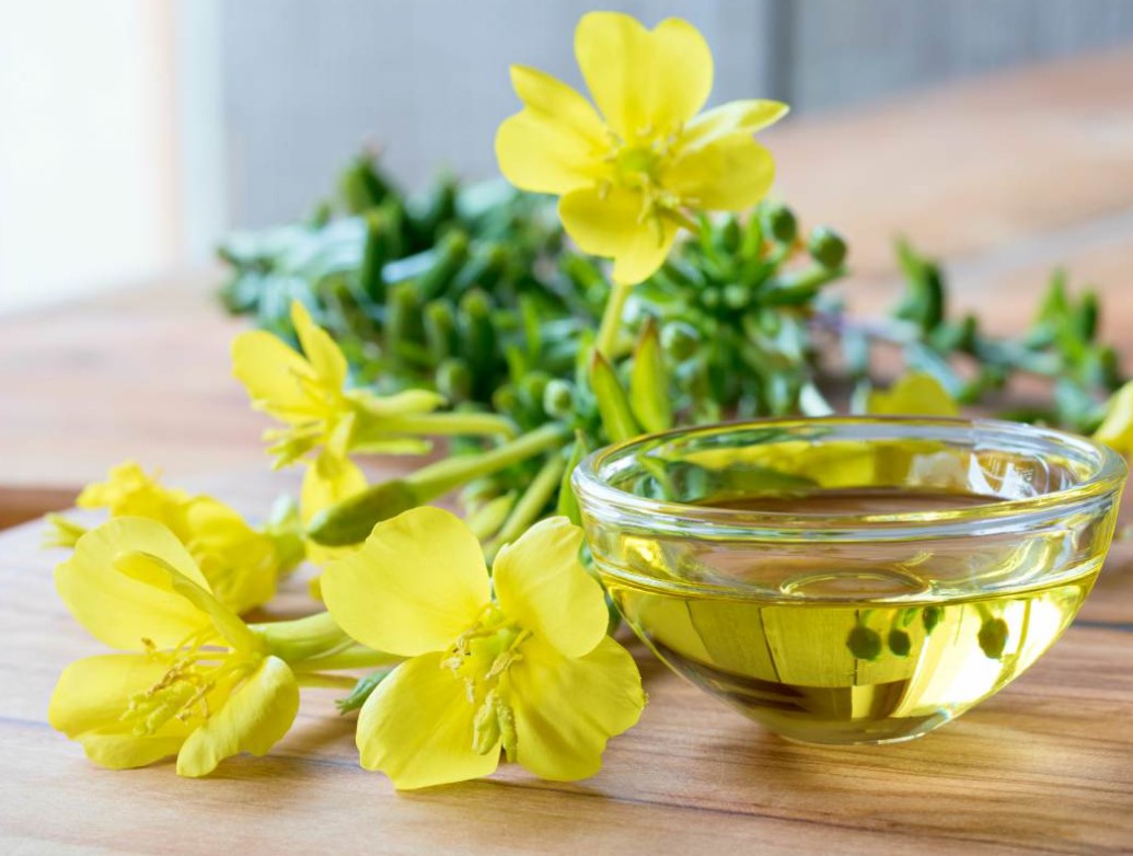 Hoa anh thảo có tác dụng gì