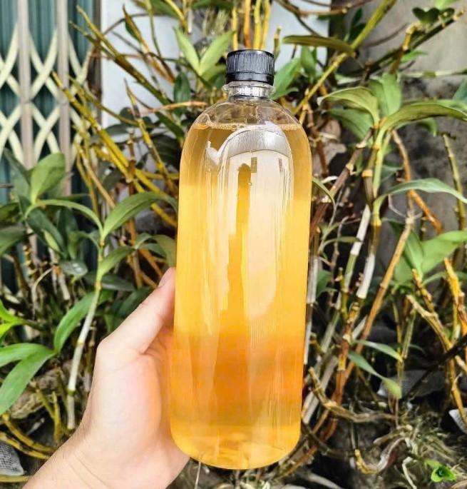 Tác dụng của giấm táo