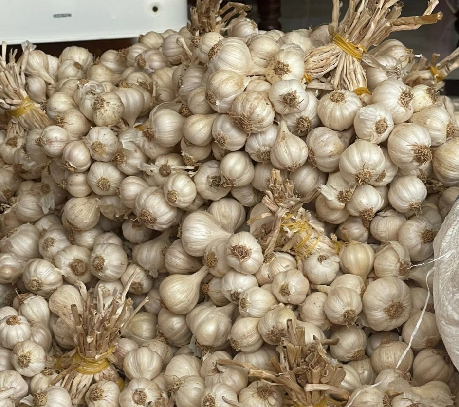 Tỏi có tác dụng gì